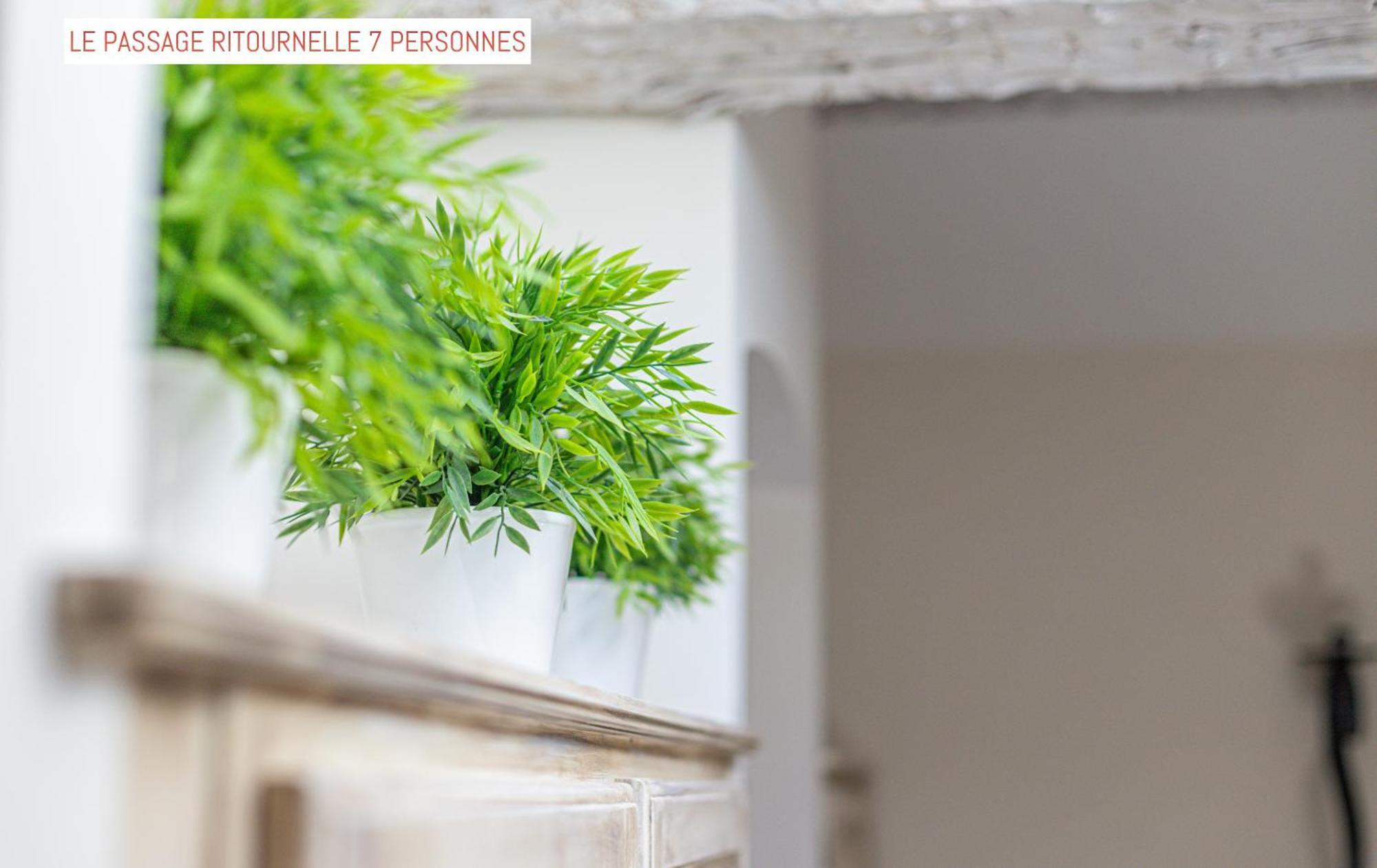 Le Passage Bed and Breakfast Carcassonne Buitenkant foto