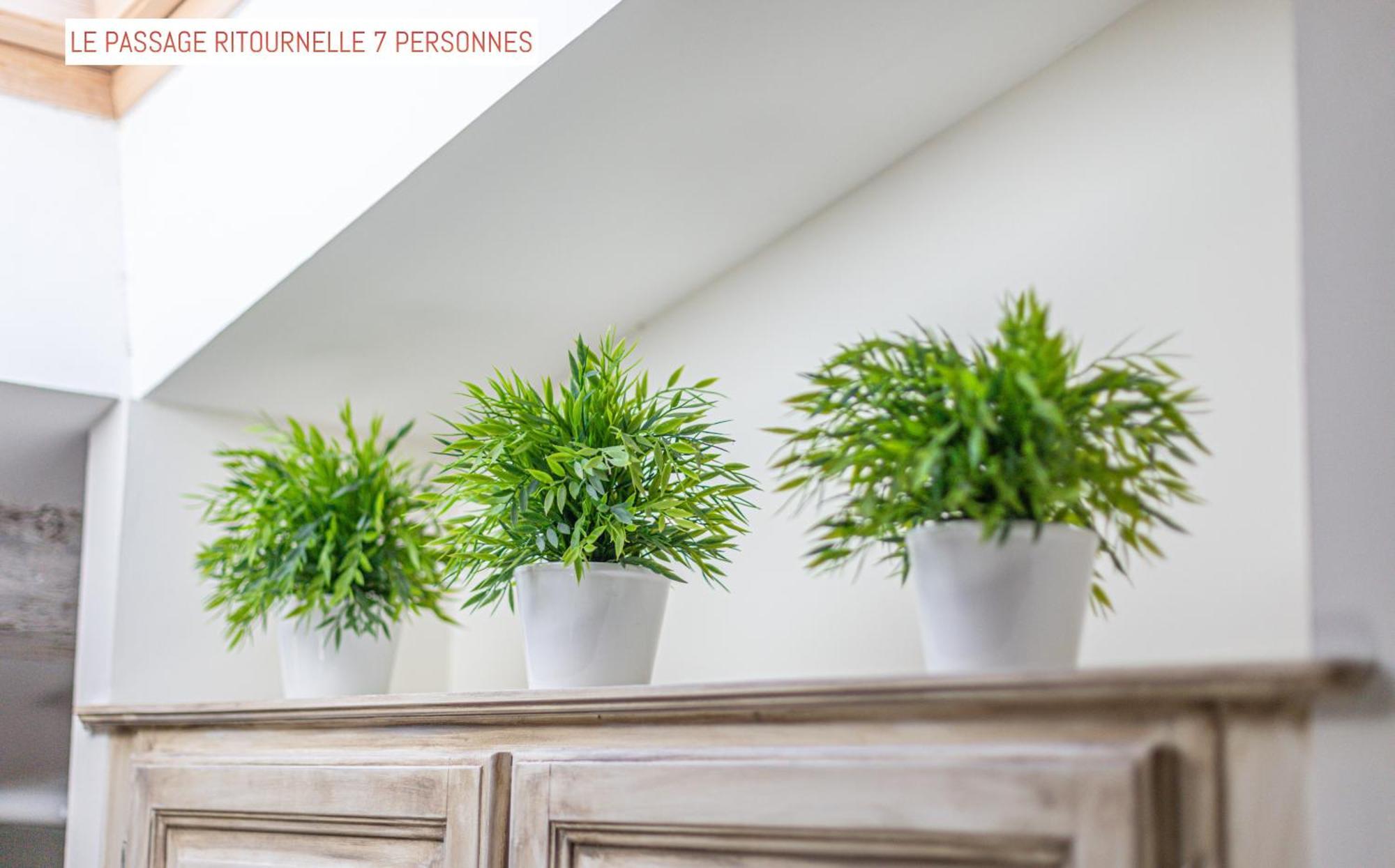 Le Passage Bed and Breakfast Carcassonne Buitenkant foto