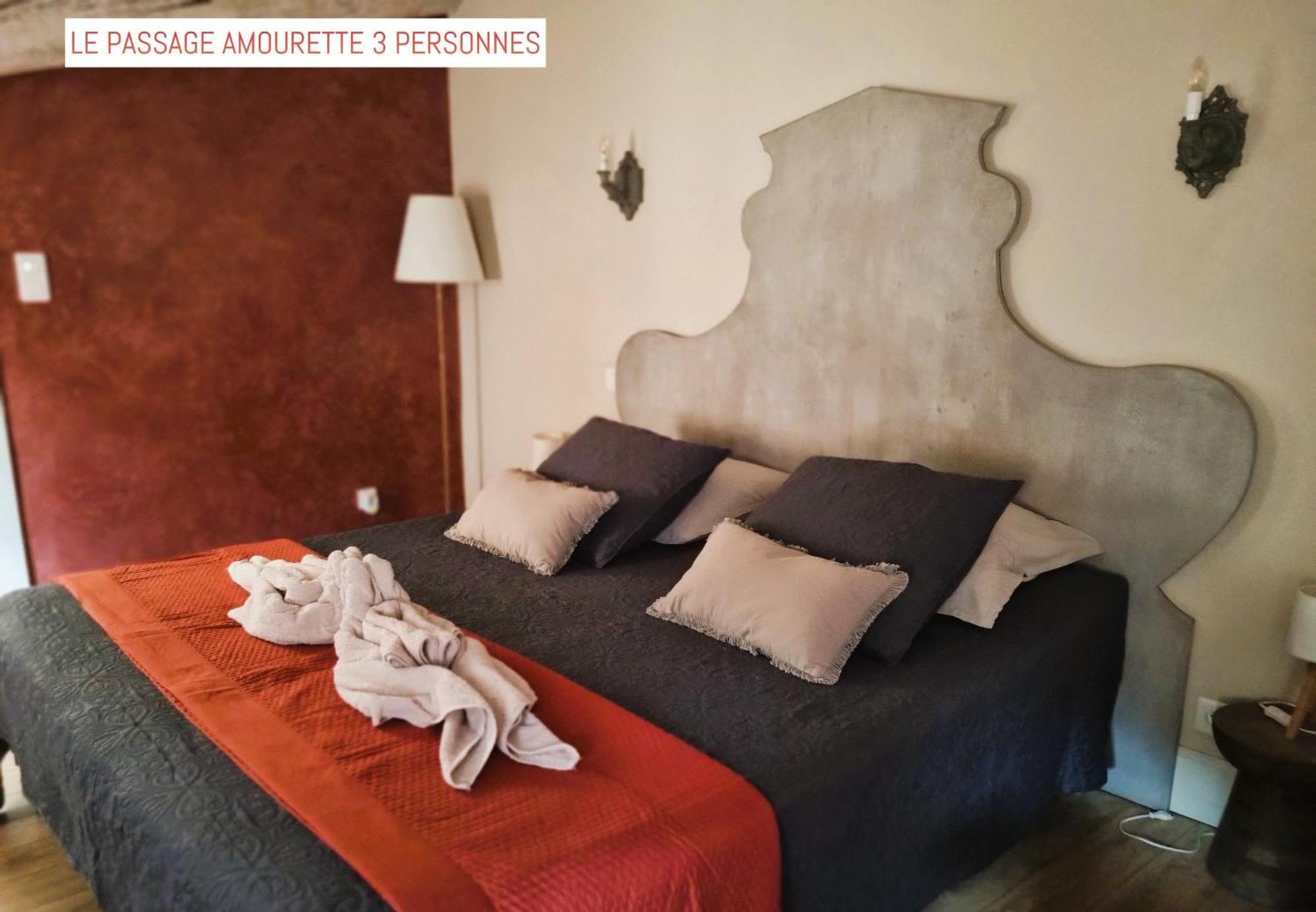 Le Passage Bed and Breakfast Carcassonne Buitenkant foto