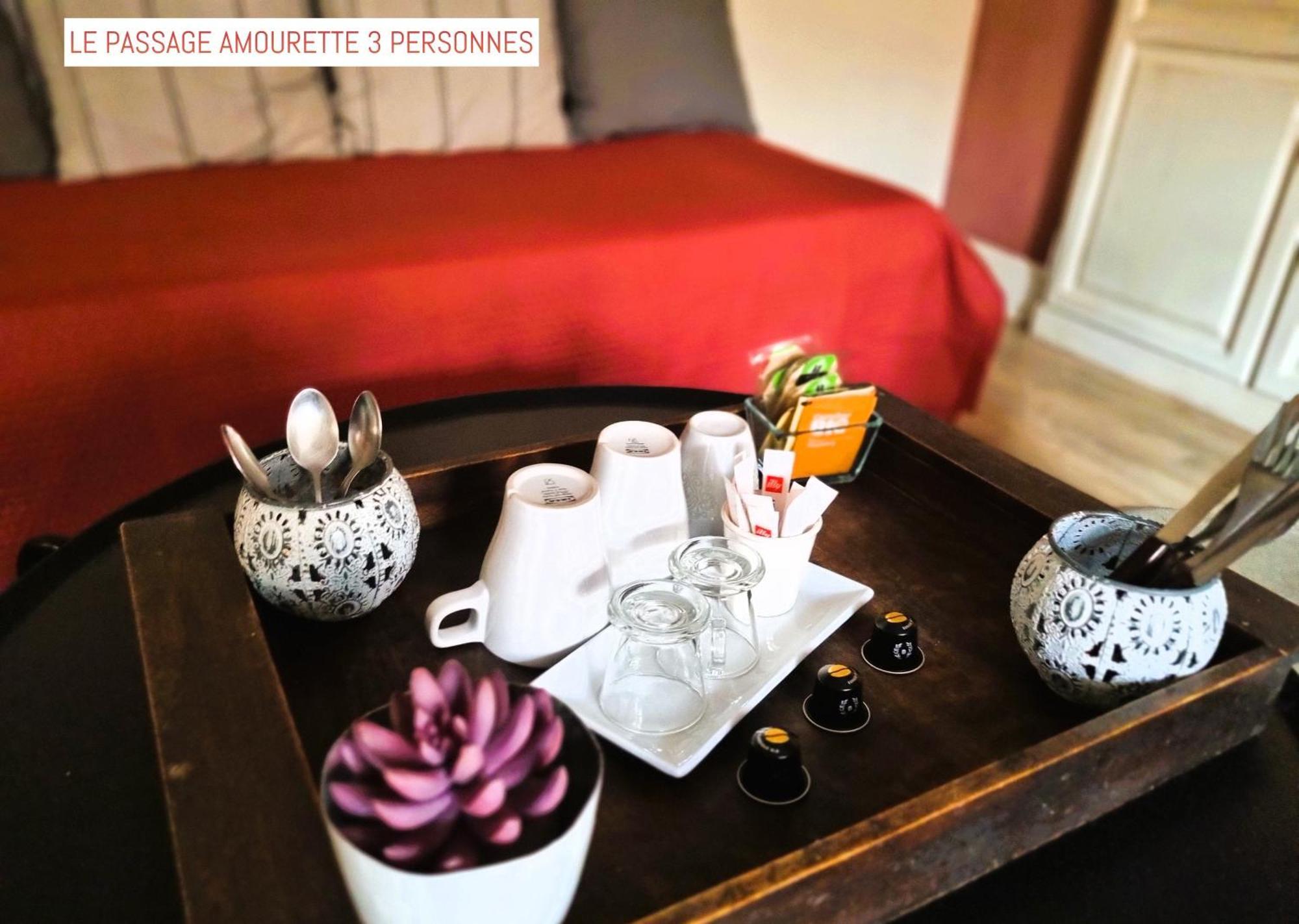 Le Passage Bed and Breakfast Carcassonne Buitenkant foto