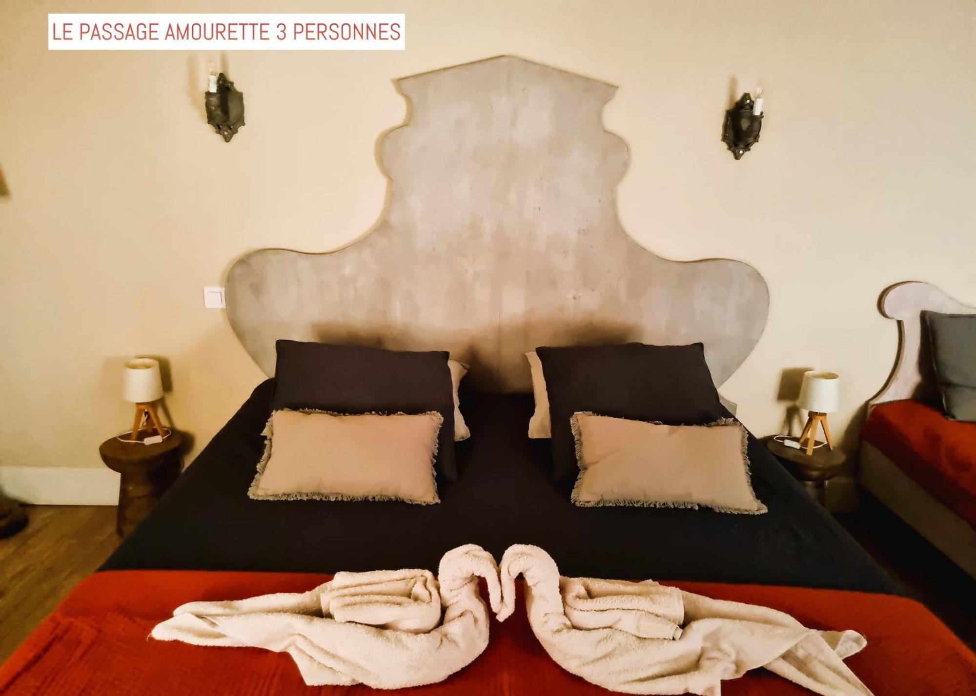 Le Passage Bed and Breakfast Carcassonne Buitenkant foto