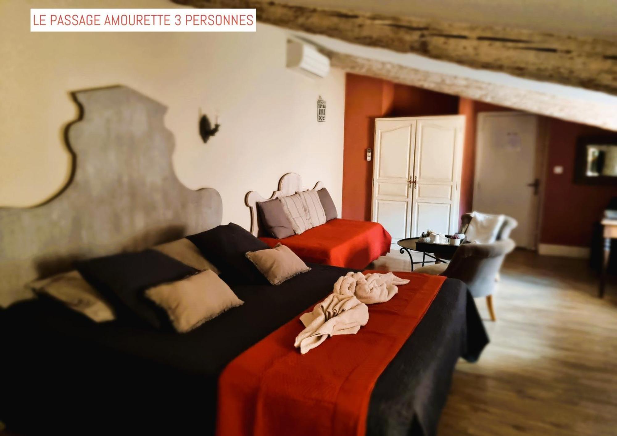Le Passage Bed and Breakfast Carcassonne Buitenkant foto