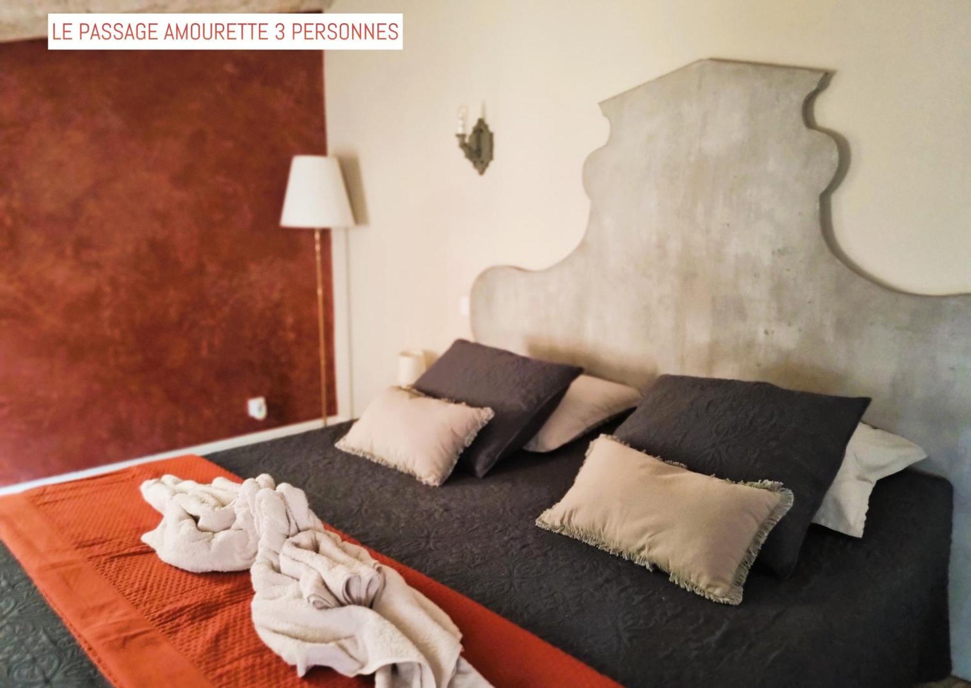 Le Passage Bed and Breakfast Carcassonne Buitenkant foto