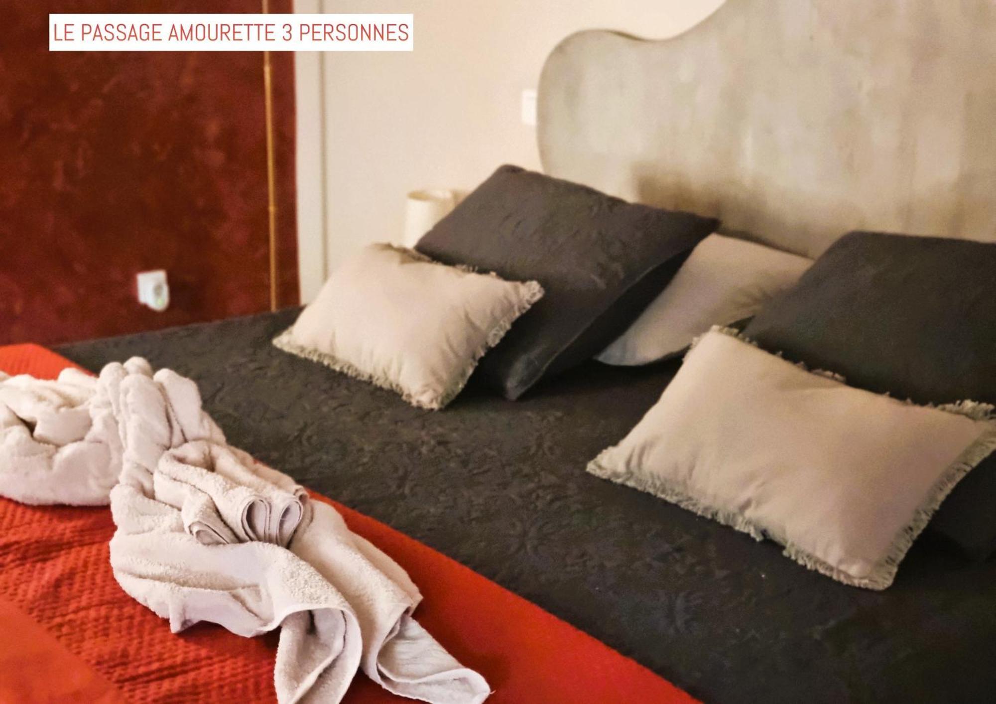 Le Passage Bed and Breakfast Carcassonne Buitenkant foto