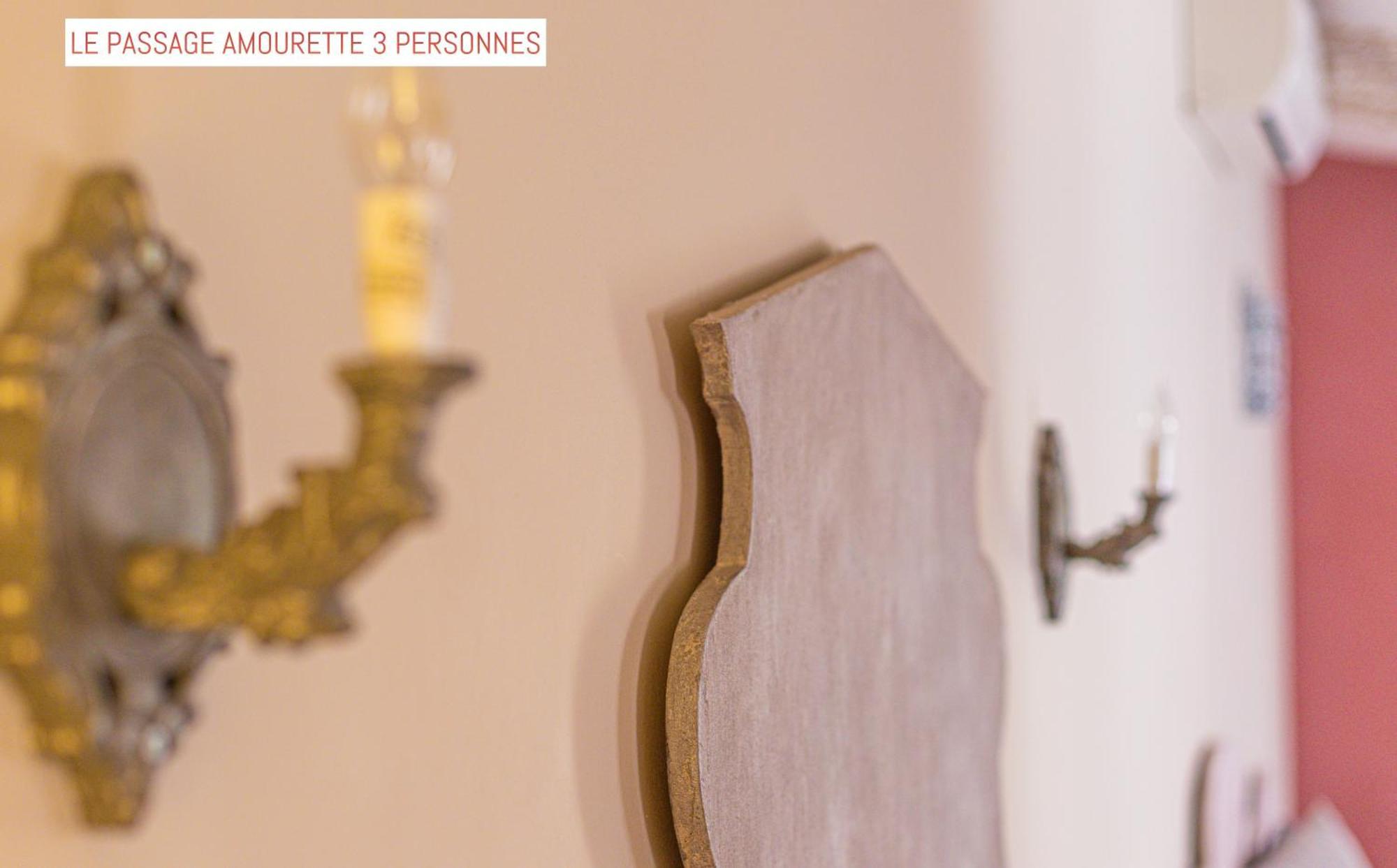 Le Passage Bed and Breakfast Carcassonne Buitenkant foto