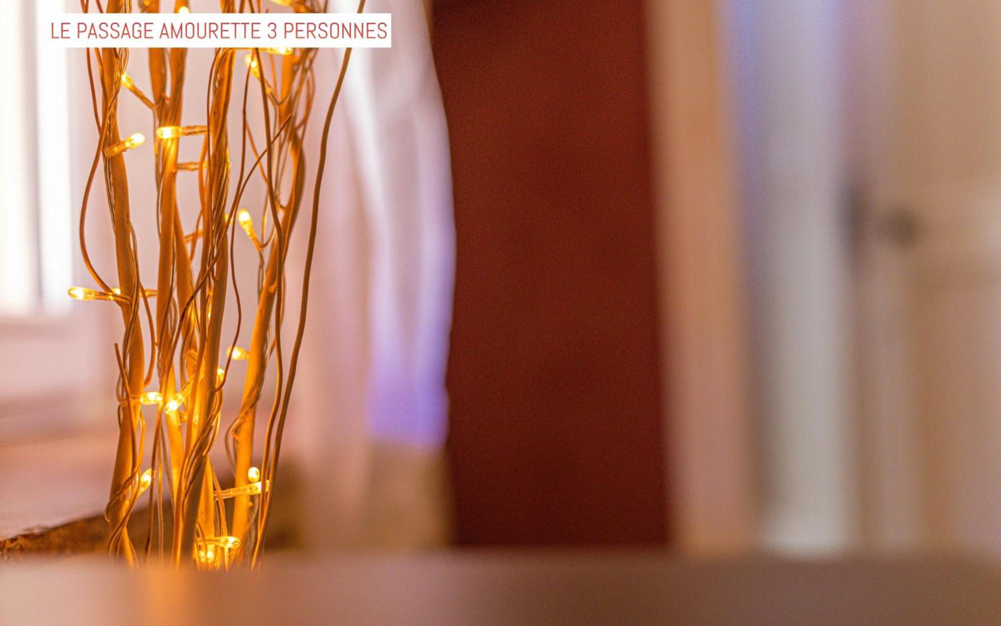Le Passage Bed and Breakfast Carcassonne Buitenkant foto